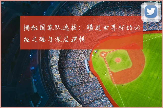 揭秘国家队选拔：踢进世界杯的必经之路与深层逻辑